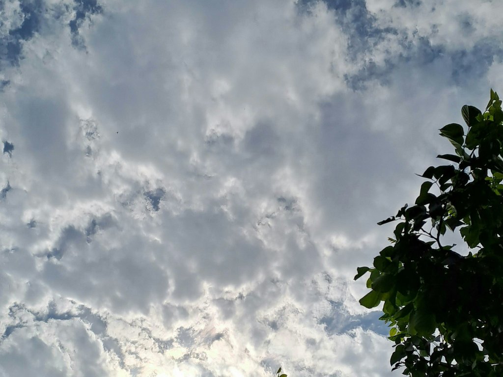 Kloosterbrief: 'Hemels'