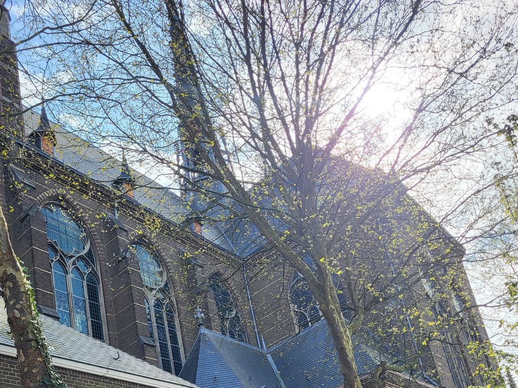 Kloosterbrief: 'Ontwapenend'