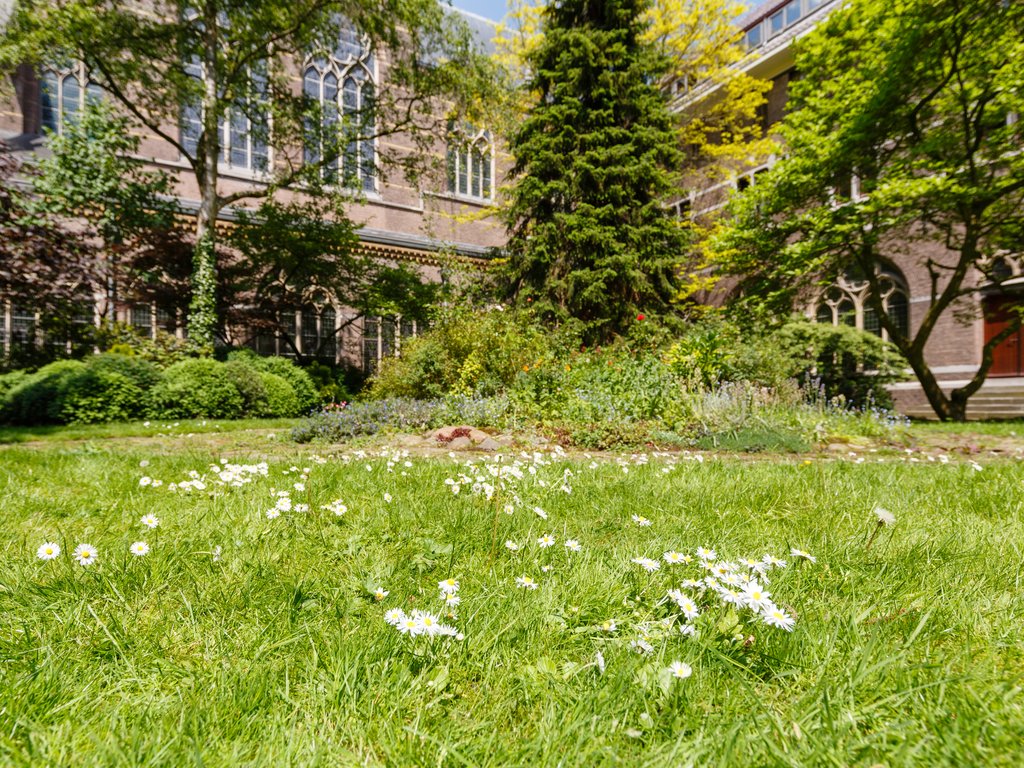 Gebed en Mindfulness