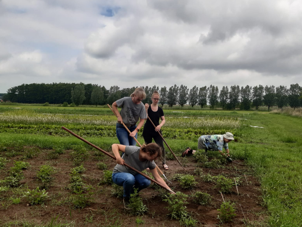 Enquête landbouwuniversiteit Wageningen 