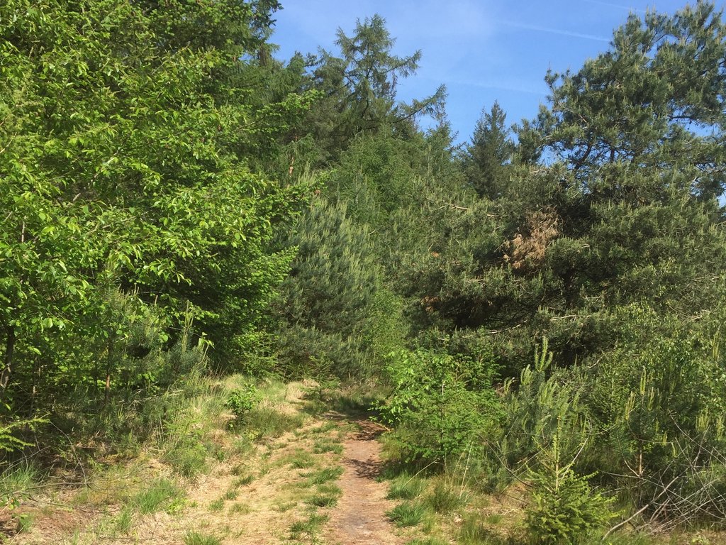 Weekend Wandeltip