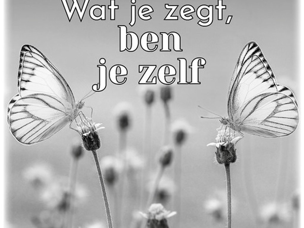 Overweging 22 maart