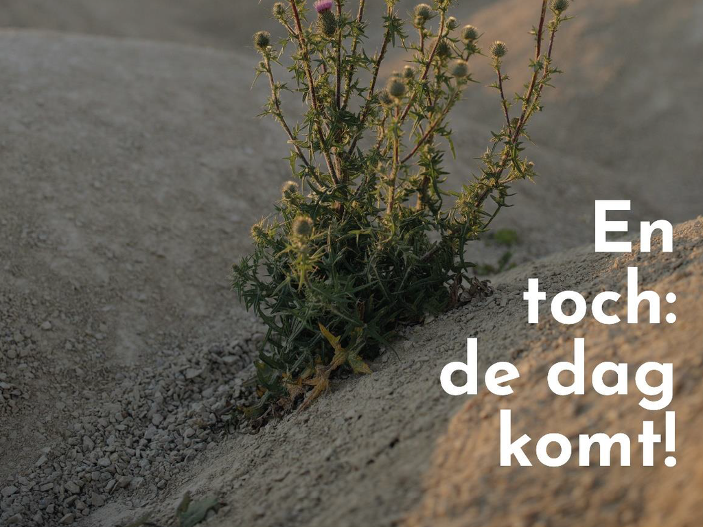 Advent 3: En toch... de dag komt!