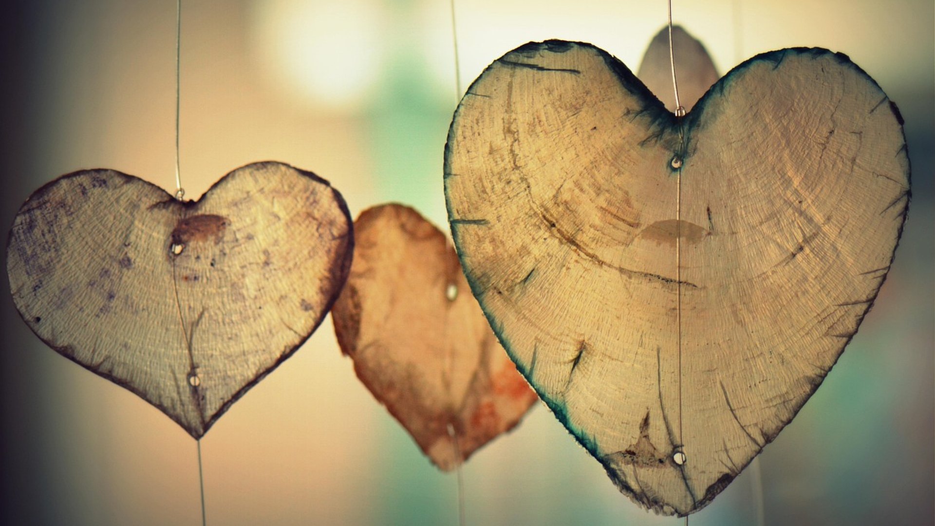 Liefde