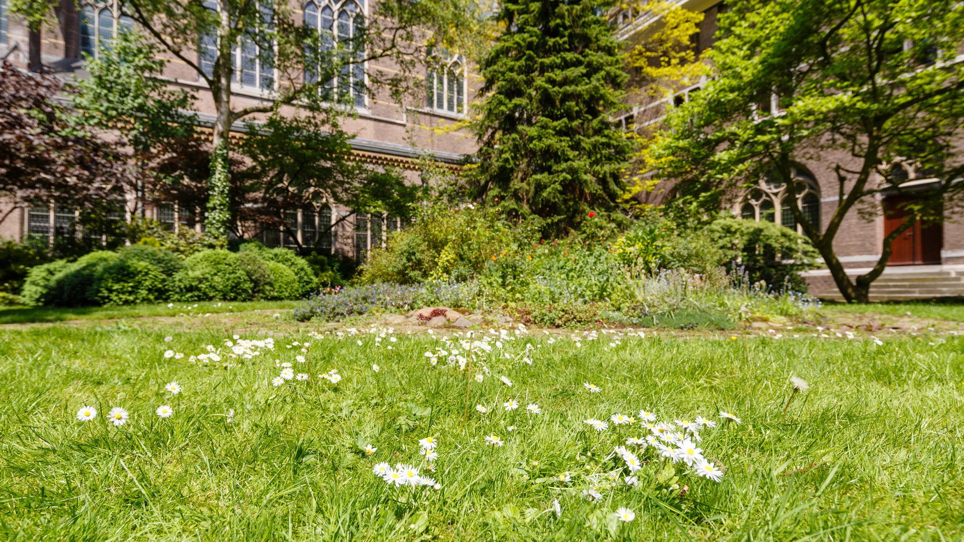 Gebed en Mindfulness