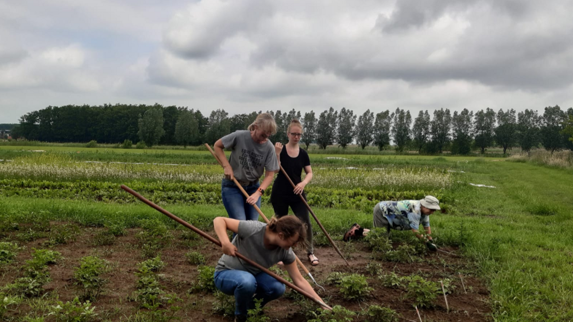 Enquête landbouwuniversiteit Wageningen