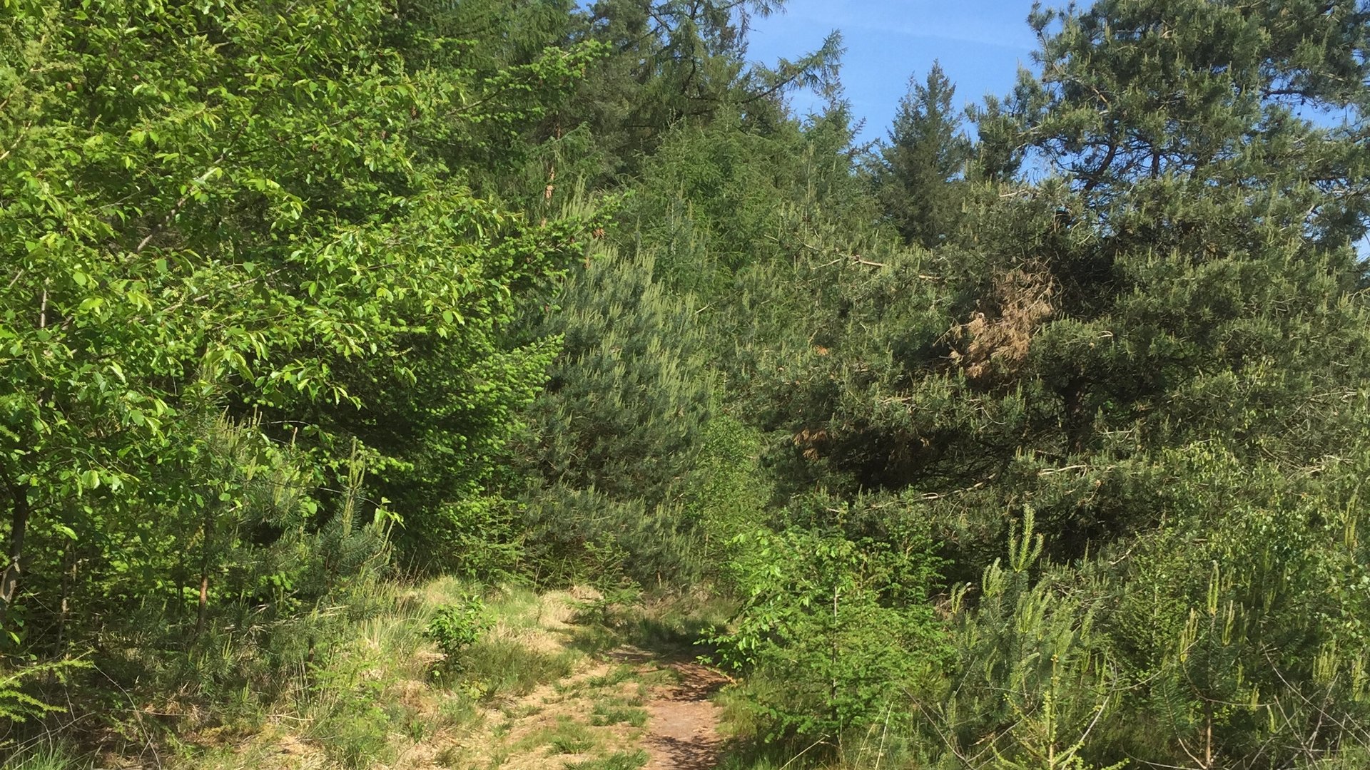 Weekend Wandeltip