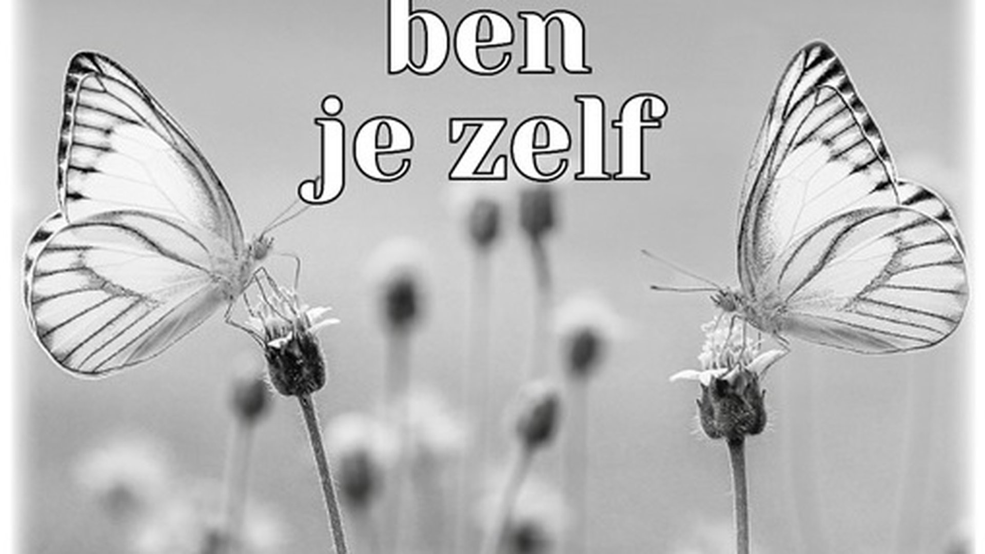 Overweging 22 maart 