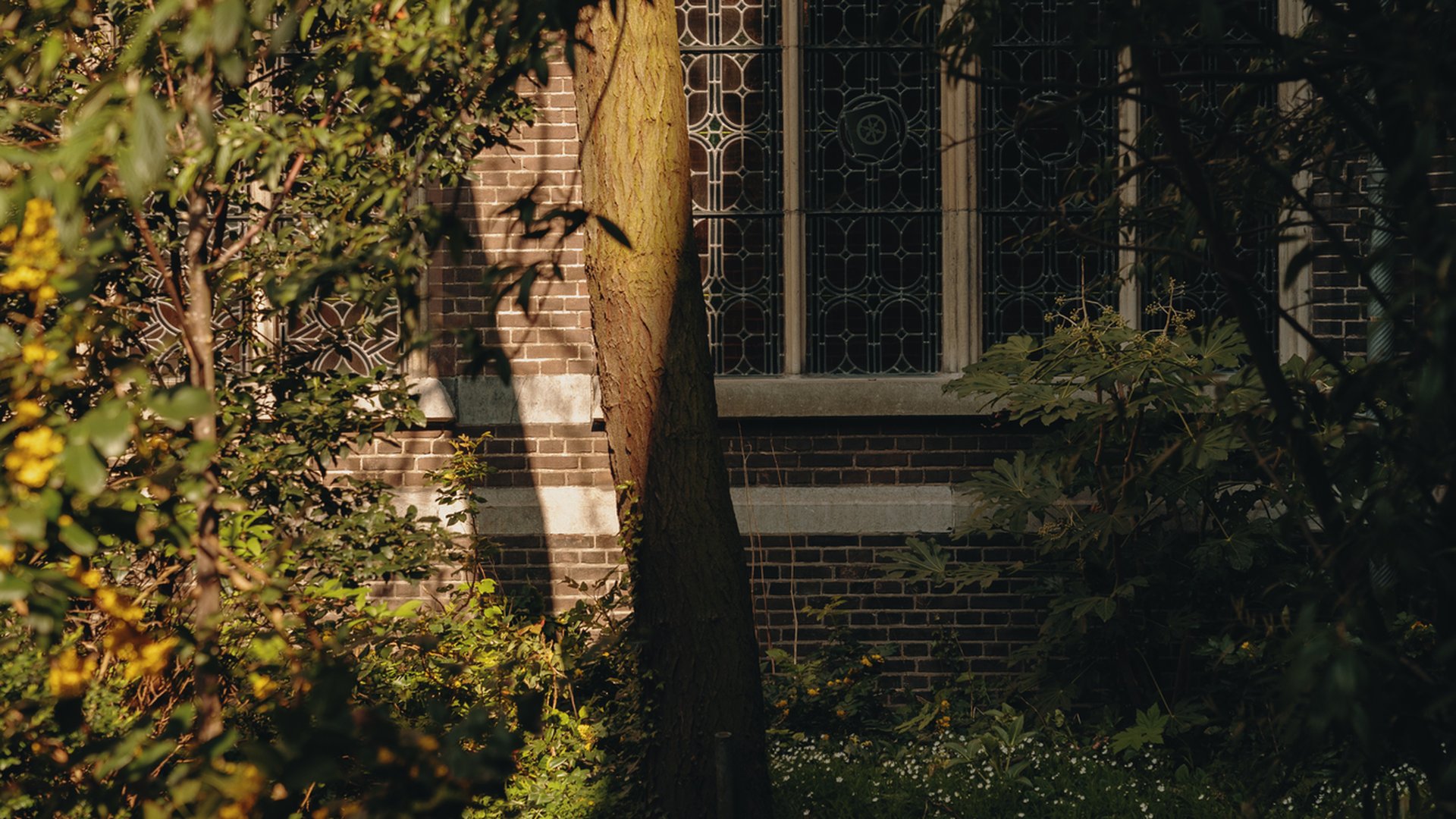 Overweging 27 februari