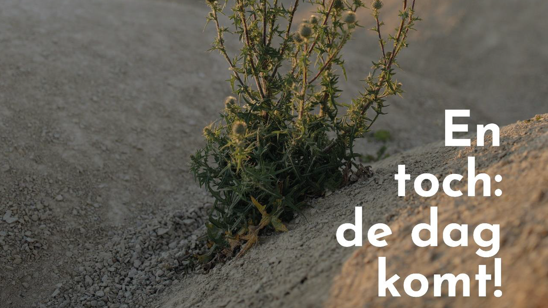 Advent 3: En toch... de dag komt!