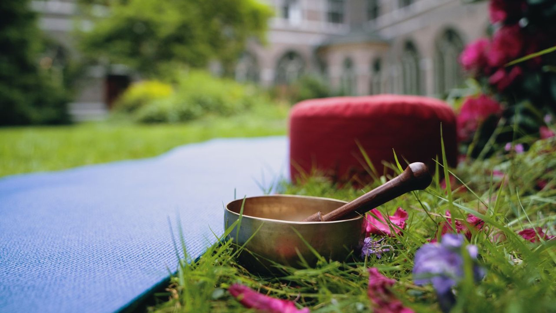 Ochtendgloren Yoga