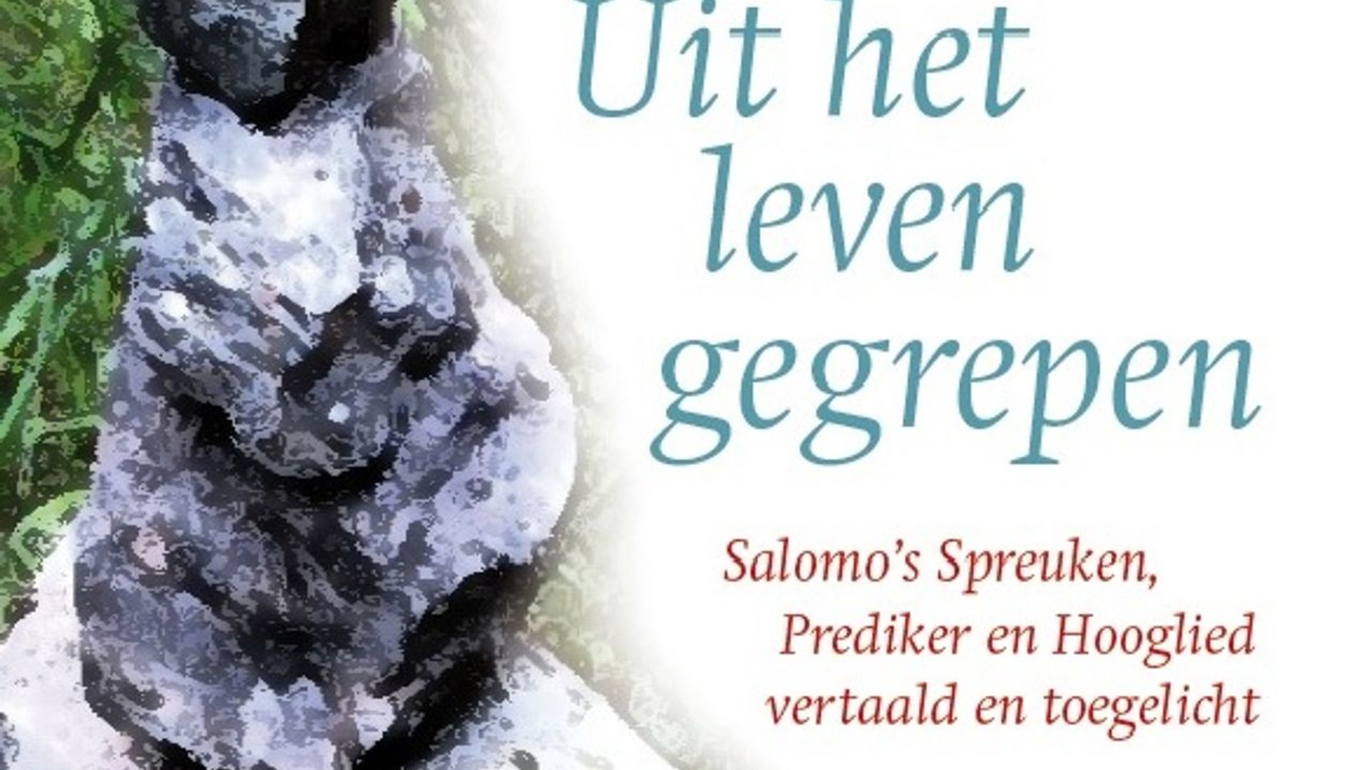 14-02 Geannuleerd Studiedag Wat is wijsheid?