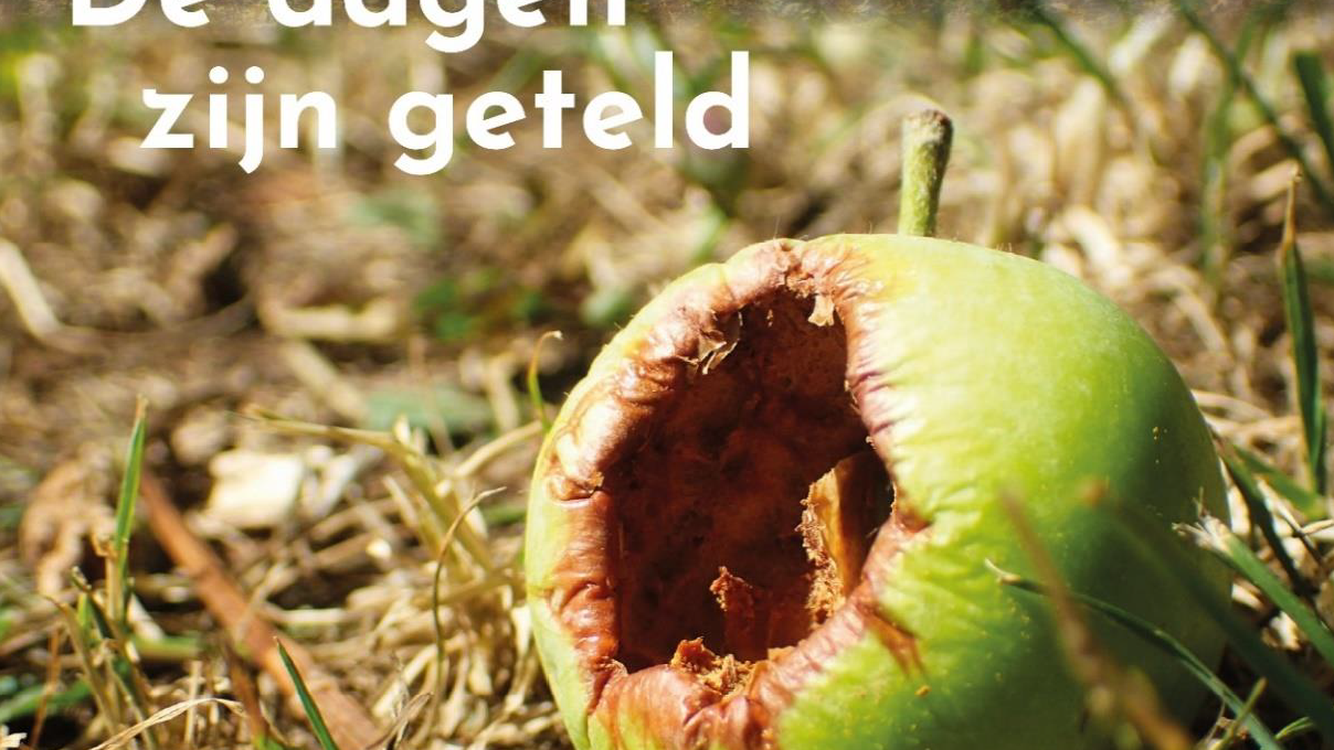 Advent 2: De dagen zijn geteld