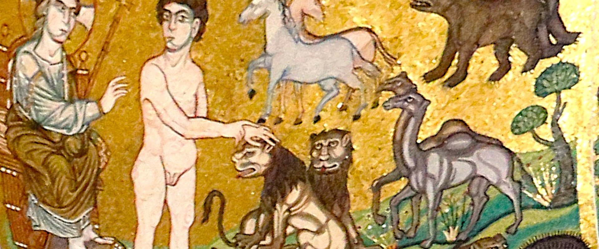 Leesgroep – Magnifica Humanitas