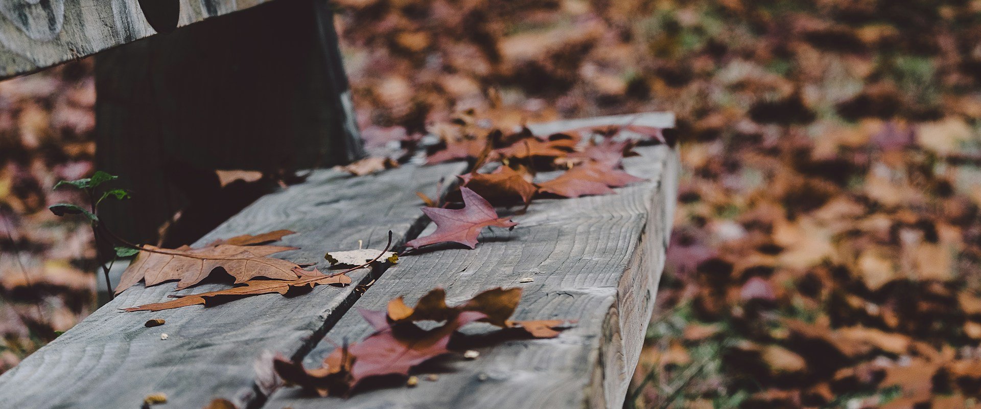 Gespreksgroep – Verlies… en dan verder