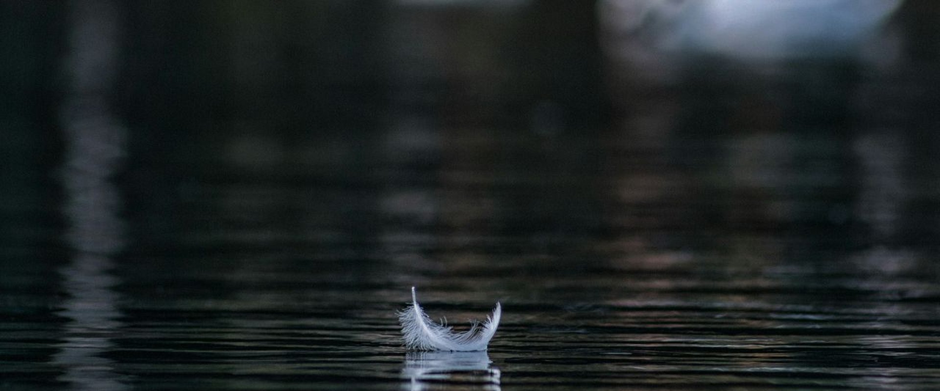 Sounds of Silence