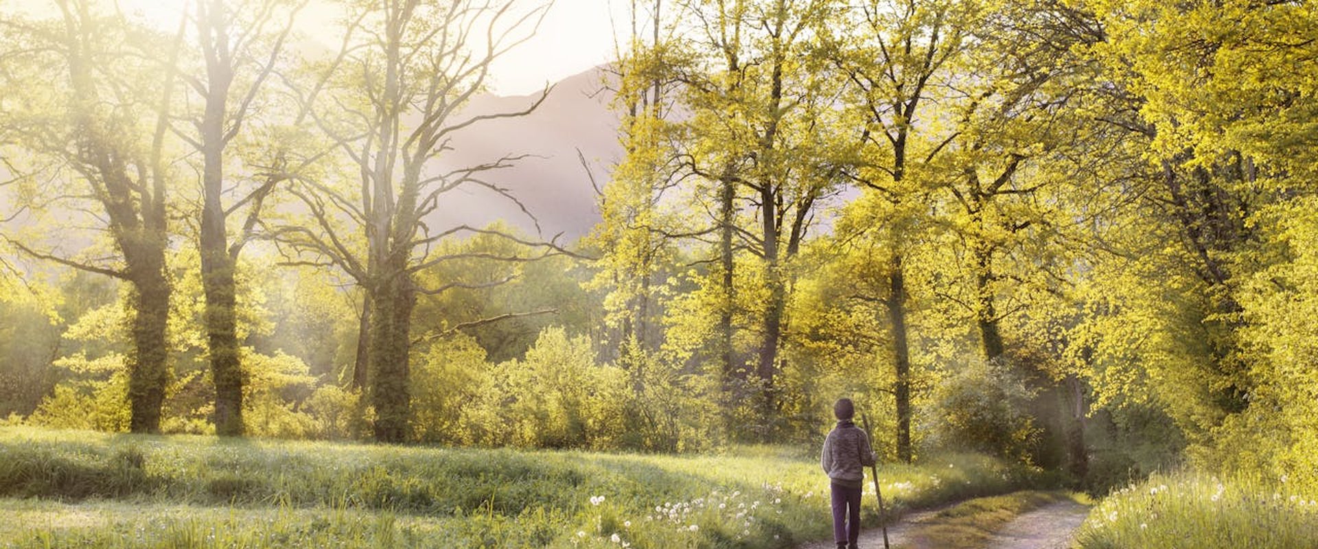 Minipelgrimage - Een dag bezinnend wandelen