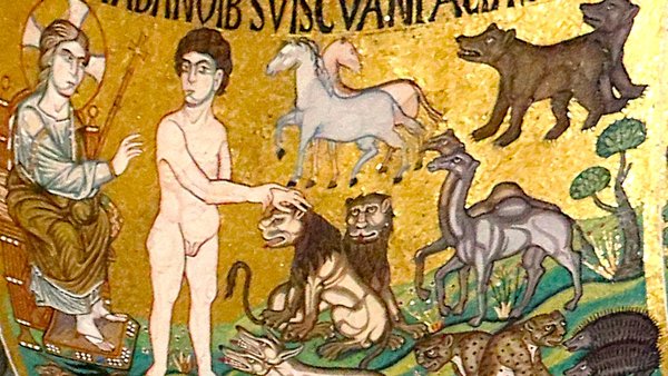 Leesgroep – Magnifica Humanitas