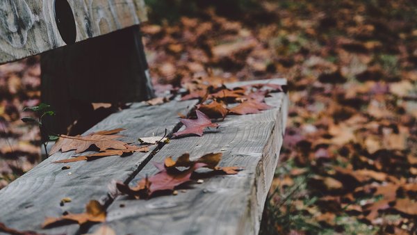 Gespreksgroep – Verlies… en dan verder