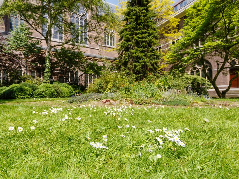 Gebed en Mindfulness