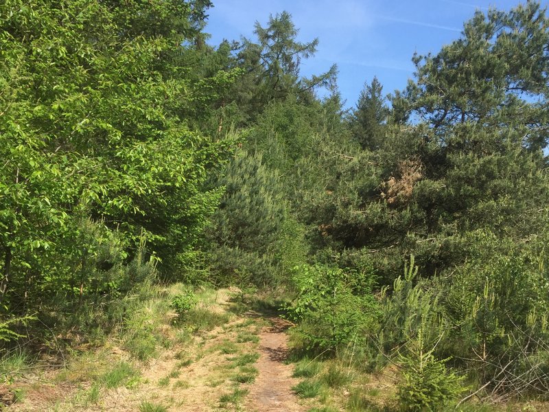 Weekend Wandeltip