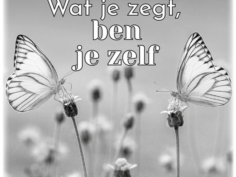 Overweging 22 maart