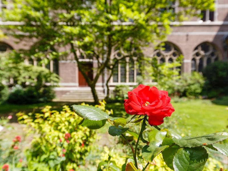 Cursus Eckhart lezen 