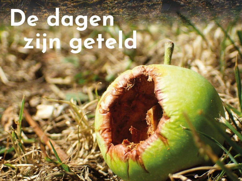 Advent 2: De dagen zijn geteld